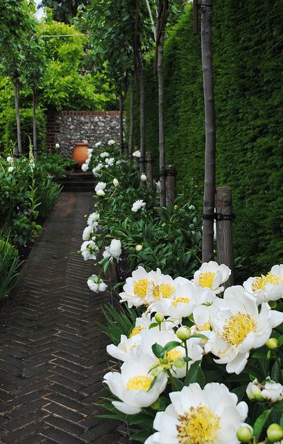 Herringbone Garden Walkway