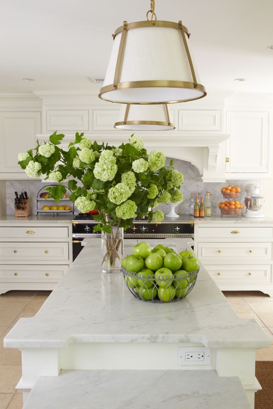 Luxurious Kitchen