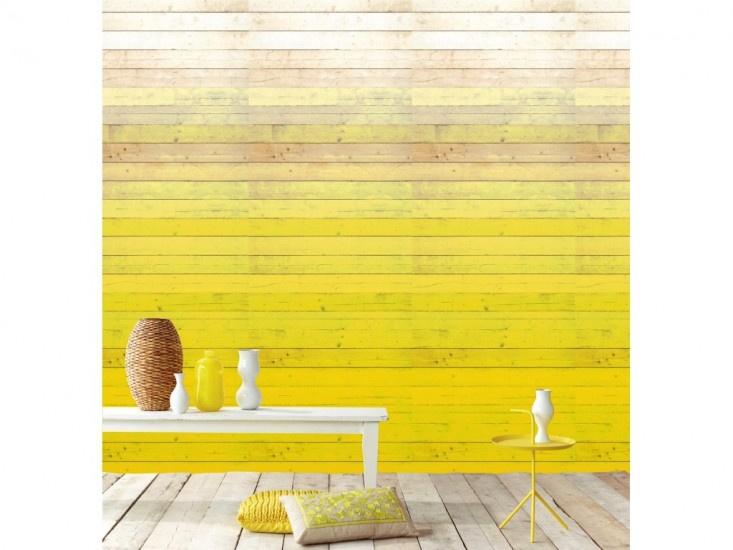 Ombre Wall Design