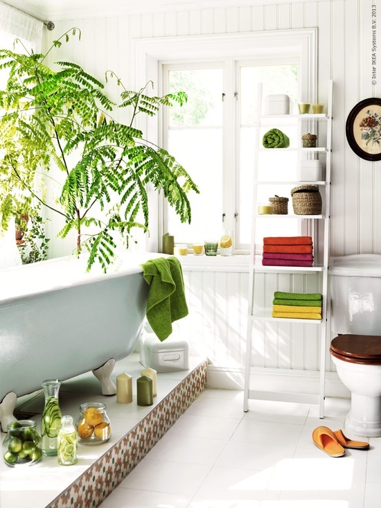 Revitalizing Bathroom Design Inspiration
