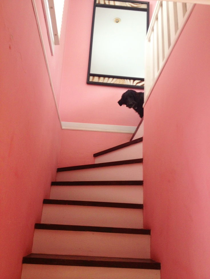Pink Monochrome Stair
